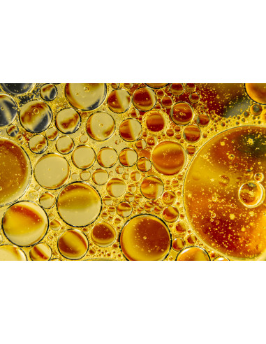 LIPOPHOS+ Plus Phospholipids from organic...