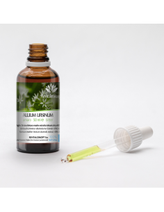 ALLIUM URSINUM 2