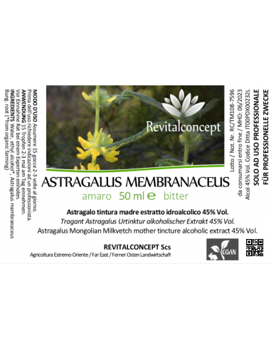 ASTRAGALUS MEMBRANACEUS