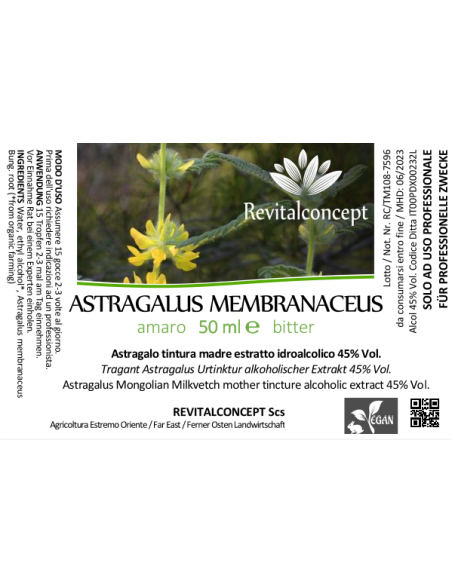 ASTRAGALUS MEMBRANACEUS