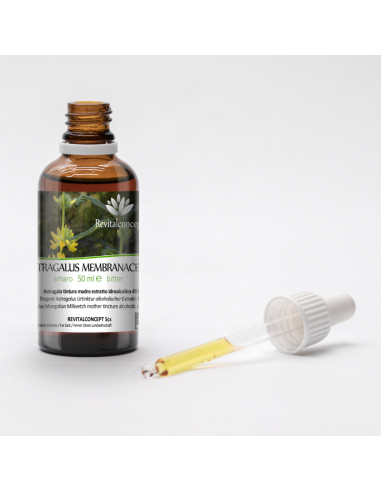 ASTRAGALUS MEMBRANACEUS