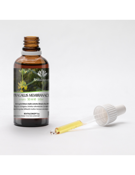 ASTRAGALUS MEMBRANACEUS