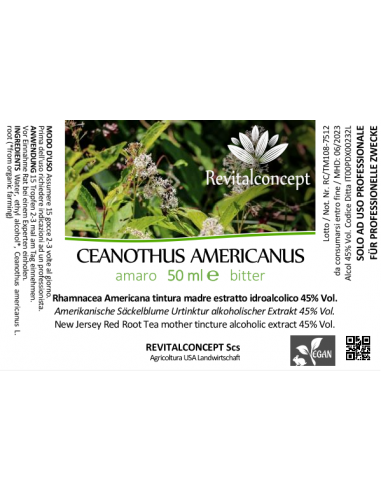 CEANOTHUS AMERICANUS