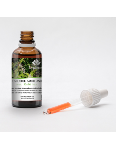 CEANOTHUS AMERICANUS