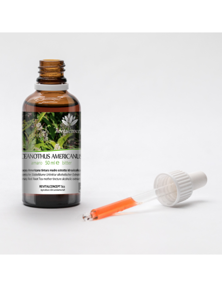 CEANOTHUS AMERICANUS