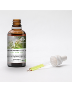 CORIANDRUM SATIVUM BIO 2