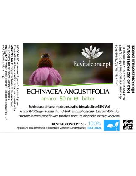 ECHINACEA ANGUSTIFOLIA
