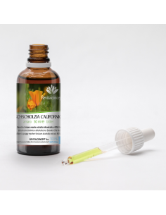 ESCHSCHOLZIA CALIFORNICA 2