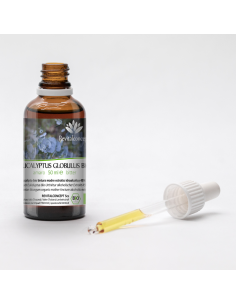 EUCALYPTUS GLOBULUS BIO 2