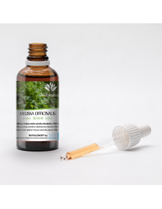MELISSA OFFICINALIS 2
