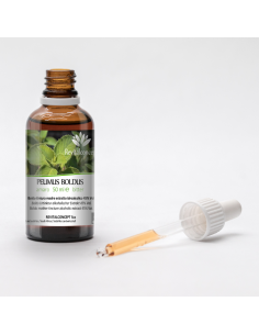 Boldo officinal tincture drops or spray | PEUMUS BOLDUS 2