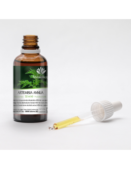 Sweet Annie organic (Novel Food) mother tincture drops or spray | ARTEMISIA ANNUA