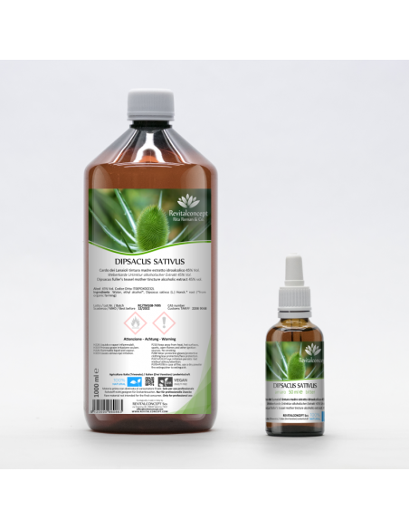 Cardo dei Lanaioli selvatico tintura madre gocce o spray | DIPSACUS SATIVUS