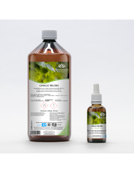 Ginkgo ayurvedic mother tincture drops or spray | GINKGO BILOBA