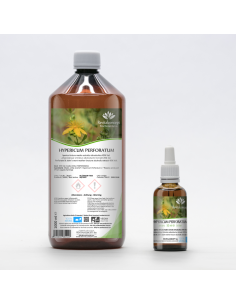 HYPERICUM PERFORATUM