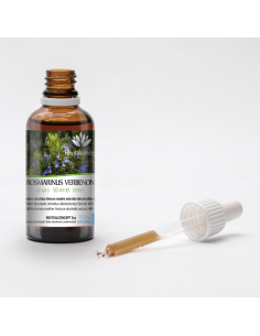Wild Rosemary mother tincture drops or spray | ROSMARINUS... 2