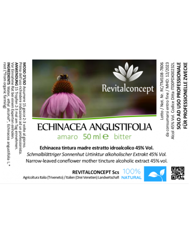 ECHINACEA ANGUSTIFOLIA