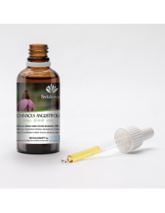 Eastern Purple Coneflower organic mother tincture drops... 2