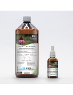 Eastern Purple Coneflower organic mother tincture drops...