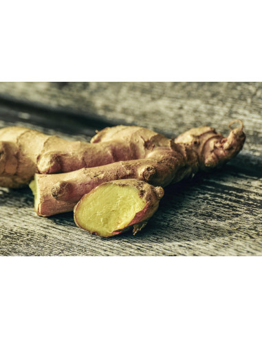 Zenzero bio tintura madre ayurvedica gocce o...