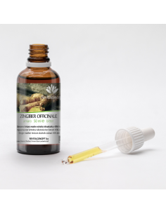 Ginger organic ayurvedic mother tincture drops or spray |... 2