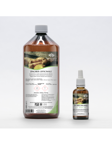 Zenzero bio tintura madre ayurvedica gocce o...