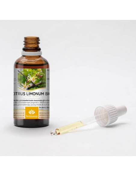 Zitrone Bio Gemmotherapie Jungtrieb u. Rindenextrakt Tropfen o. Spray | CITRUS LIMONUM BIO