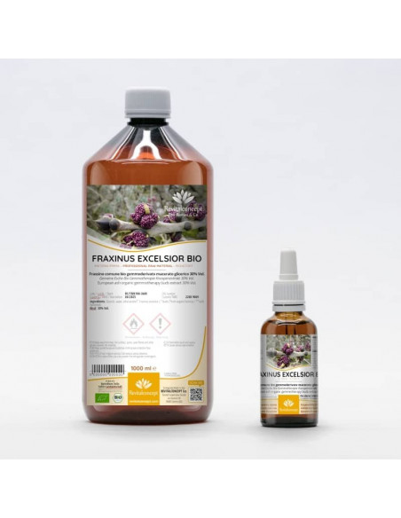 Gemeine Esche Bio Gemmotherapie Knospenextrakt Tropfen o. Spray | FRAXINUS EXCELSIOR BIO