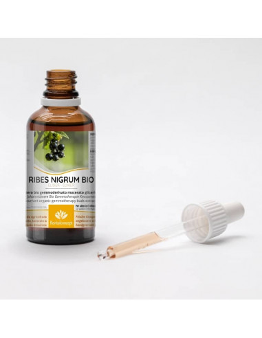 Schwarze Johannisbeere Bio Gemmotherapie...