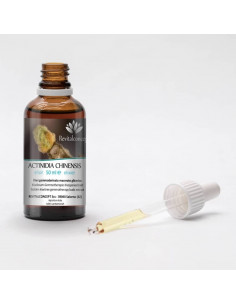 Kiwibaum Gemmotherapie Knospenextrakt nach Dr. Pol Henry 2