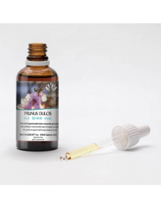 Mandelbaum Gemmotherapie Knospenextrakt nach Dr. Pol Henry 2