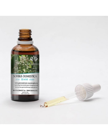 Sorbo gemmoderivato macerato glicerico Dr. Pol Henry