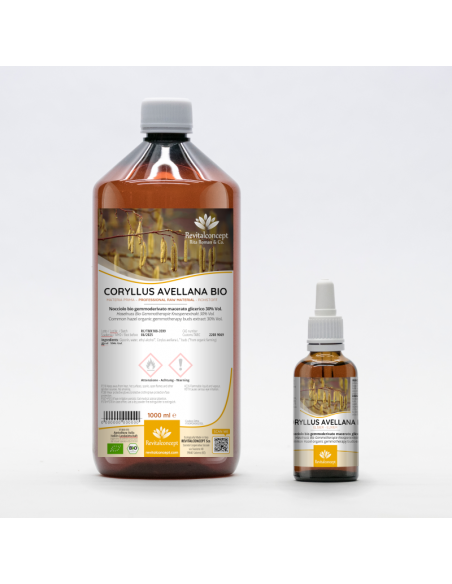 Haselnuss Bio Gemmotherapie Knospenextrakt Tropfen o. Spray | CORYLUS AVELLANA BIO