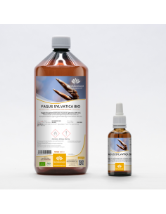 Rotbuche Bio Gemmotherapie Knospenextrakt Tropfen o....