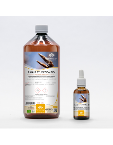 Rotbuche Bio Gemmotherapie Knospenextrakt...