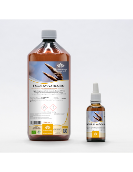 Rotbuche Bio Gemmotherapie Knospenextrakt Tropfen o. Spray | FAGUS SYLVATICA BIO