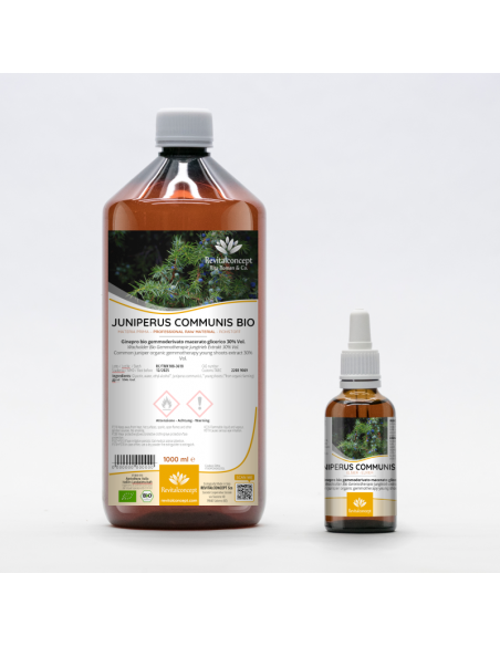 Wacholder Bio Gemmotherapie Jungtrieb Extrakt Tropfen o. Spray | JUNIPERUS COMMUNIS BIO