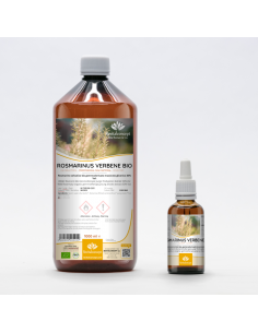 Wilder Rosmarin Bio Gemmotherapie Junge Triebspitzen...