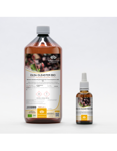 Wilder Olivenbaum Bio Gemmotherapie Jungtrieb Extrakt...