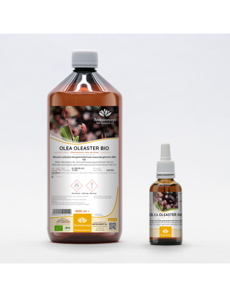 Wilder Olivenbaum Bio Gemmotherapie Jungtrieb Extrakt Tropfen o. Spray | OLEA OLEASTER BIO