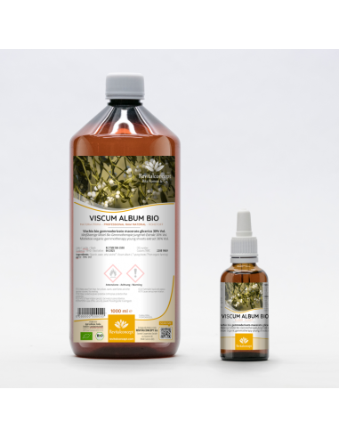 Weißbeerige Mistel Bio Gemmotherapie Jungtrieb...