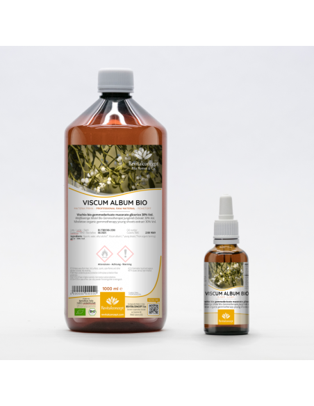 Weißbeerige Mistel Bio Gemmotherapie Jungtrieb Extrakt Tropfen o. Spray | VISCUM ALBUM BIO