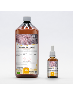 Französische Tamariske Bio Gemmotherapie Jungtrieb...