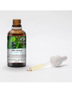 Blackcurrant mother tincture | RIBES NIGRUM 2