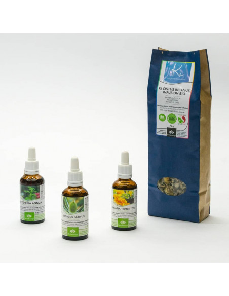 Borrelien Paket nach Storl, Berweiler und Klinghardt