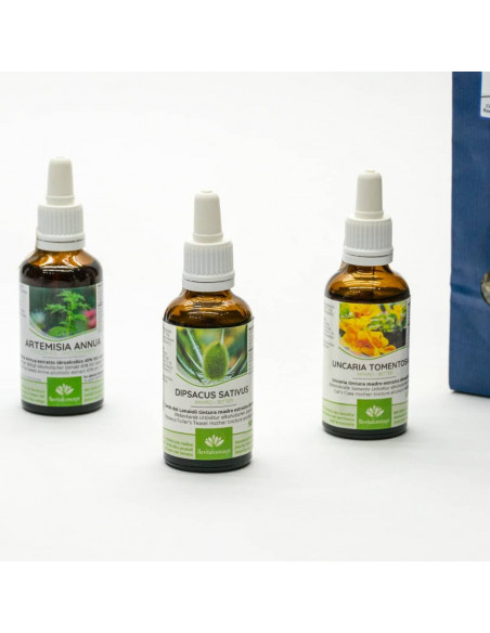 Borrelien Paket nach Storl, Berweiler und Klinghardt