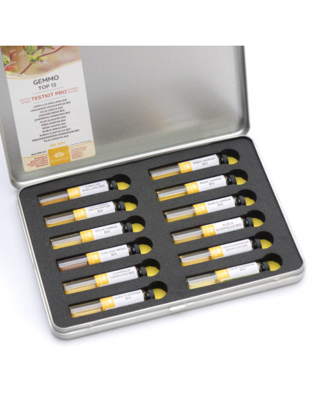 TESTKIT PRO Knospen und Gemmotherapie für die therapeutische kinesiologische Testung