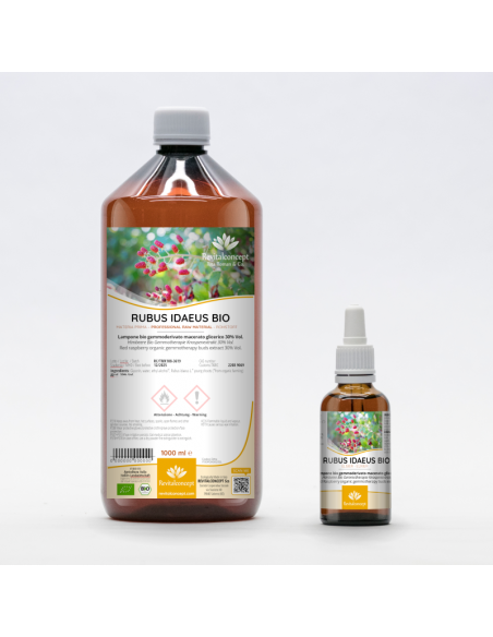 Himbeere Bio Gemmotherapie Knospenextrakt Tropfen o. Spray | RUBUS IDAEUS BIO