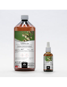 7 GEMMO+ Plus Gemmotherapie aus sieben liposomalen...