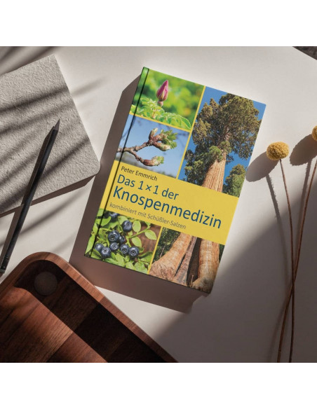 Book: DAS 1 × 1 DER KNOSPENMEDIZIN mit Schüßler-Salzen von Peter Emmrich 2024